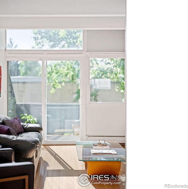 living room featuring hardwood / wood-style floors, a baseboard radiator, and a wealth of natural light