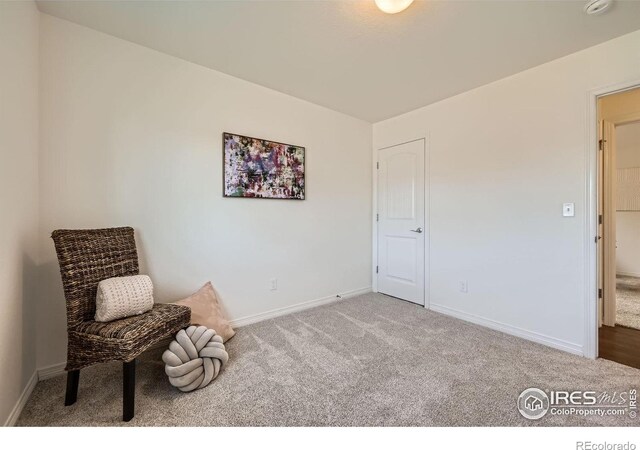 sitting room featuring carpet floors