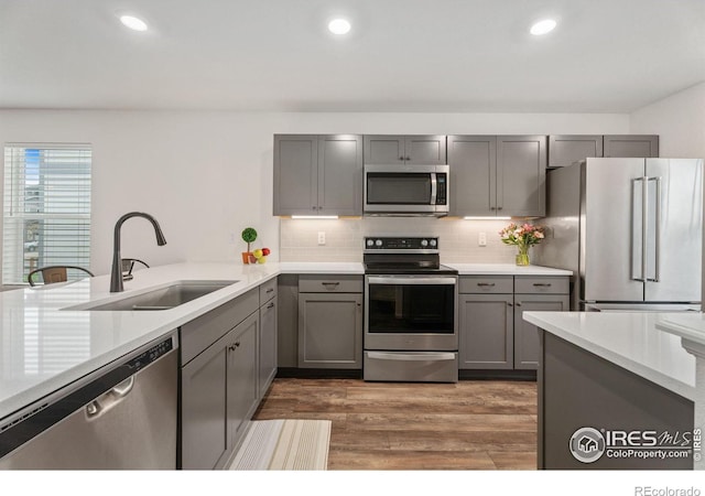 3583 Booth Falls Dr, Loveland, CO 80538 - kitchen featuring stainless steel appliances, gray cabinets, a sink, wood finished floors, and light countertops