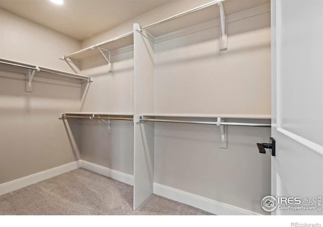 walk in closet featuring light colored carpet