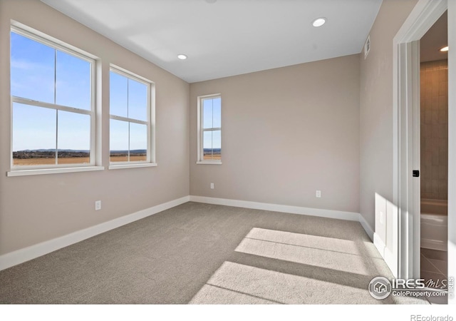 carpeted empty room featuring a wealth of natural light