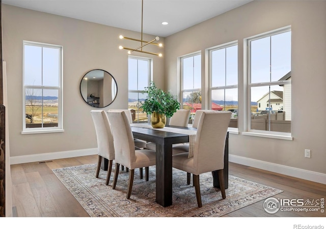 dining room featuring a wealth of natural light, a mountain view, wood-type flooring, and a notable chandelier