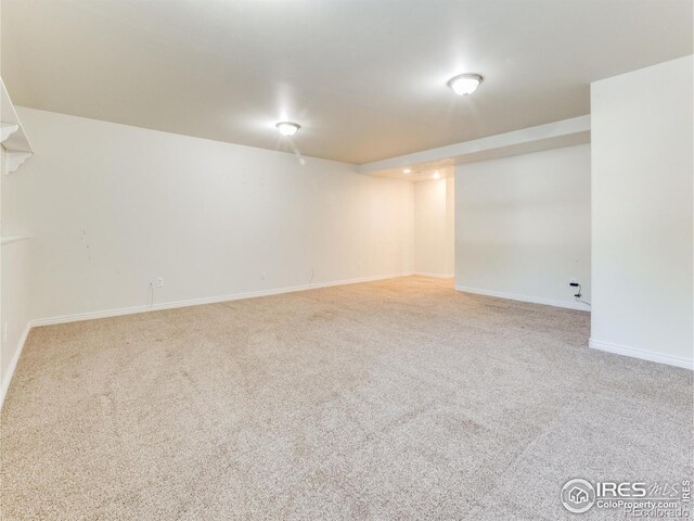 basement featuring carpet floors