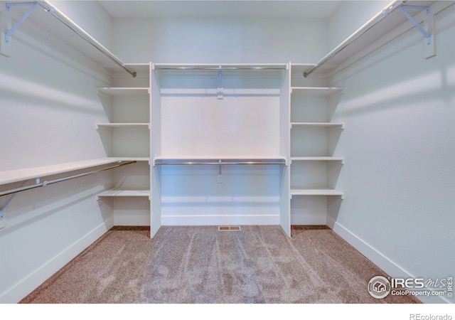 walk in closet featuring light carpet