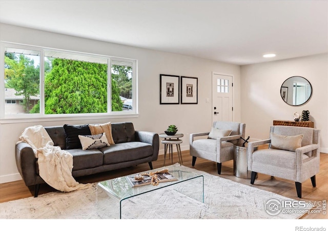 living room featuring wood-type flooring