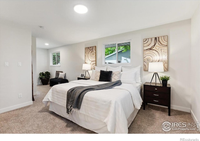 bedroom featuring multiple windows and light carpet