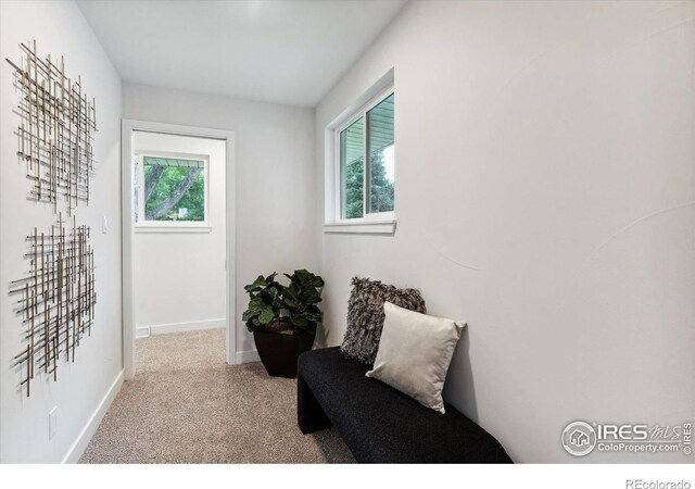 living area with light colored carpet