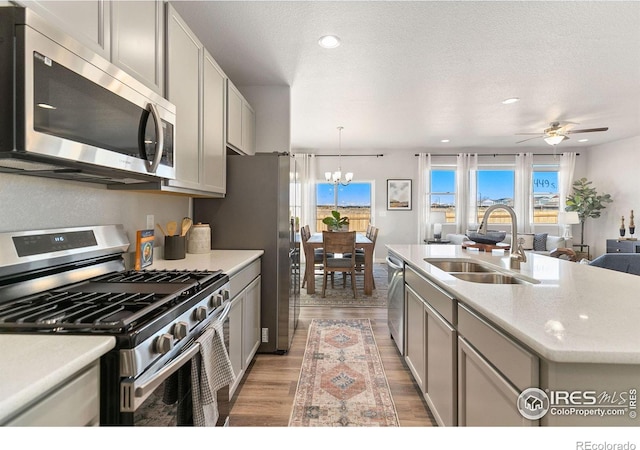 kitchen featuring appliances with stainless steel finishes, light wood-type flooring, gray cabinets, and sink