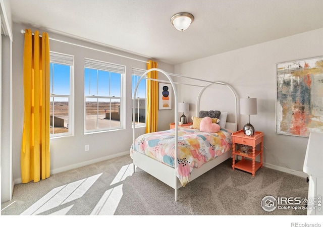 bedroom featuring carpet floors