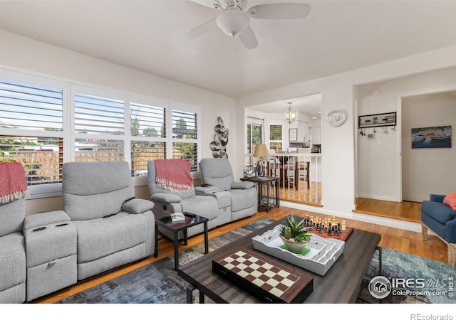 living room with wood-type flooring and ceiling fan with notable chandelier