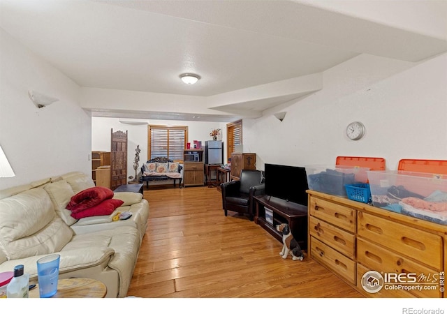 living room featuring light hardwood / wood-style flooring