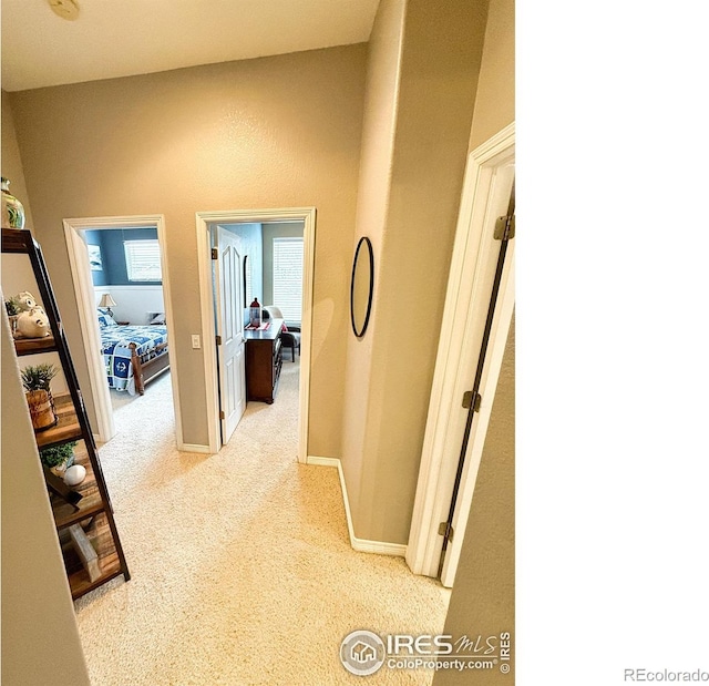 hallway with light carpet