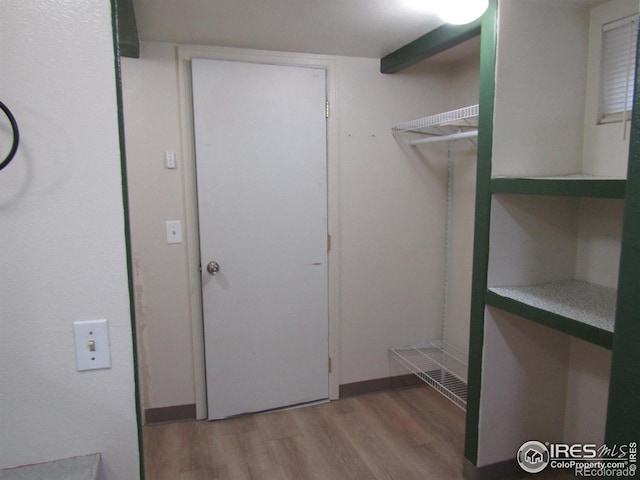 spacious closet with light wood-type flooring