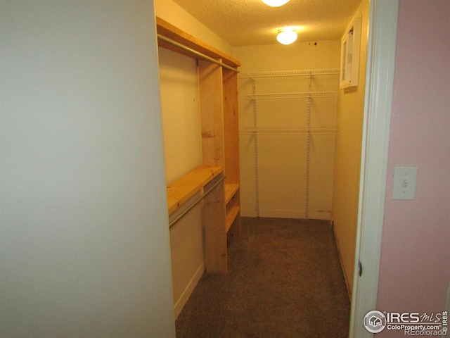 spacious closet with dark colored carpet