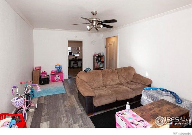 living room with dark hardwood / wood-style floors, ceiling fan, and ornamental molding