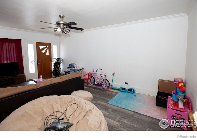 living room with ceiling fan, dark hardwood / wood-style flooring, and ornamental molding