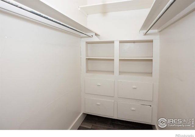 walk in closet with dark hardwood / wood-style floors