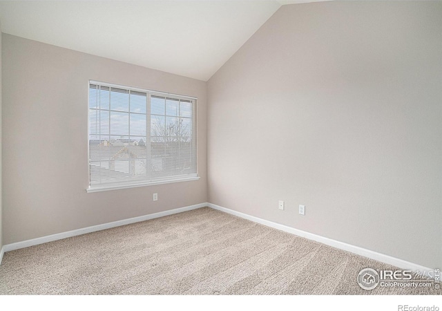 124 Beacon Way, Windsor, CO 80550 - photo 11