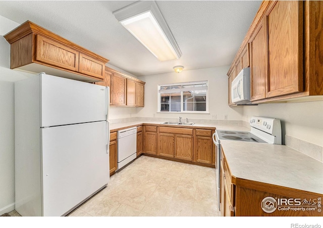 124 Beacon Way, Windsor, CO 80550 - photo 9