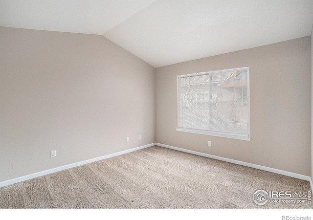124 Beacon Way, Windsor, CO 80550 - photo 12