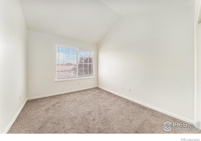 124 Beacon Way, Windsor, CO 80550 - photo 19