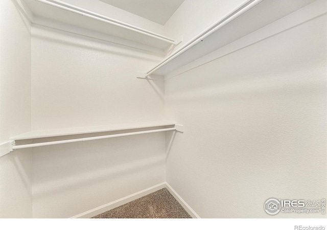 124 Beacon Way, Windsor, CO 80550 - photo 25