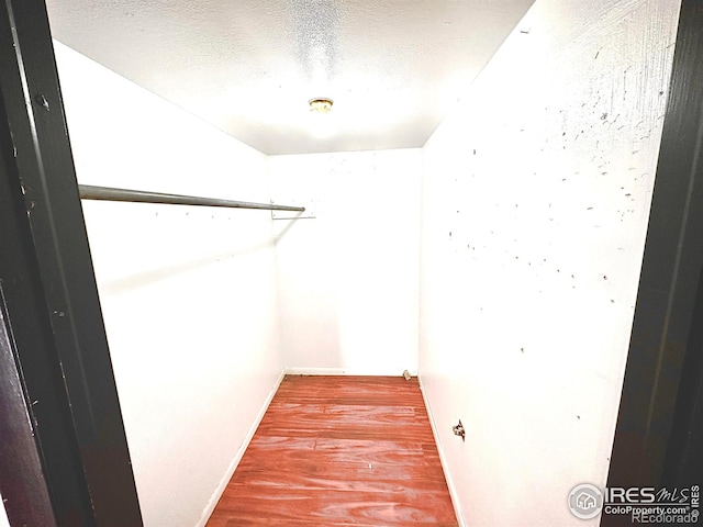 spacious closet featuring hardwood / wood-style floors