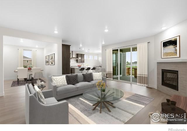 living room featuring light hardwood / wood-style floors