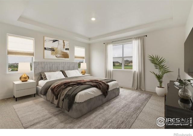 bedroom with carpet floors and a raised ceiling