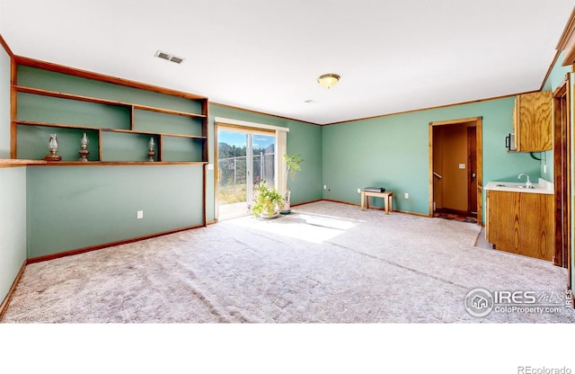 interior space with sink and carpet floors