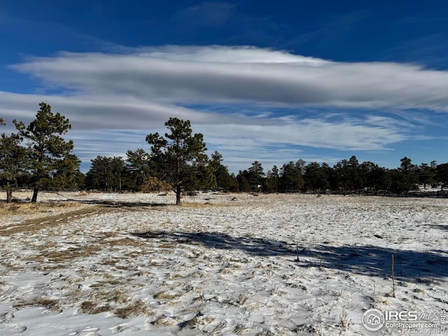 62 White Slide Mountain Ct, Livermore CO, 80536 land for sale