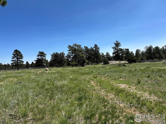 62 White Slide Mountain Ct, Livermore, CO 80536 - photo 1