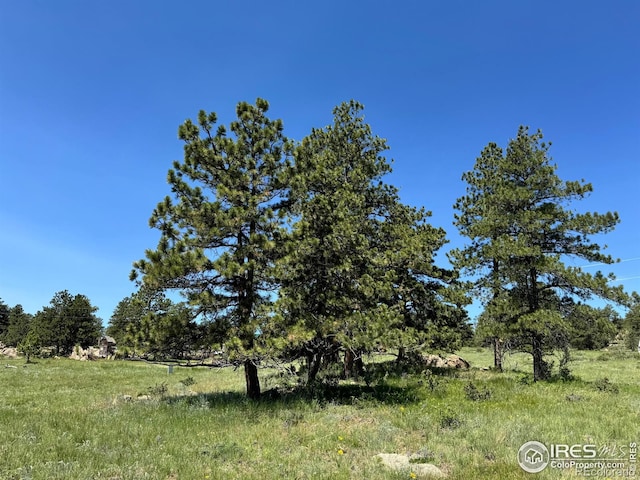 62 White Slide Mountain Ct, Livermore, CO 80536 - photo 2