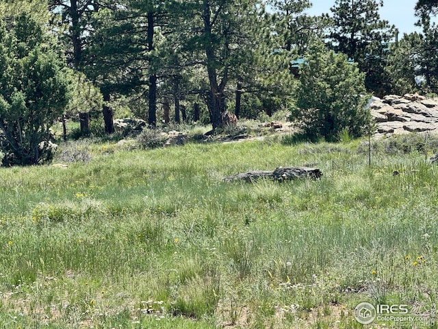 62 White Slide Mountain Ct, Livermore, CO 80536 - photo 3