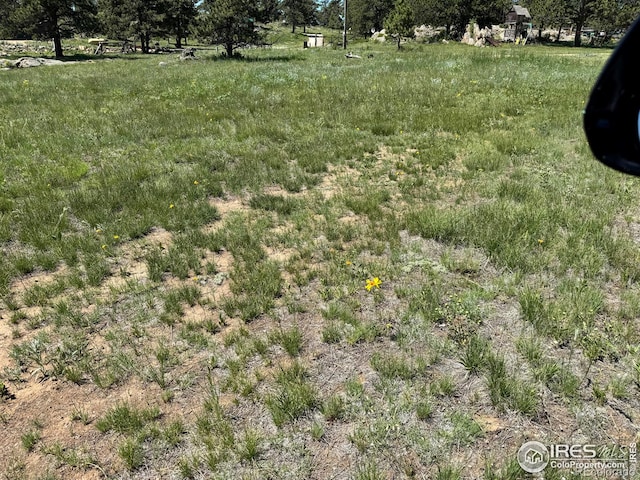 62 White Slide Mountain Ct, Livermore, CO 80536 - photo 4