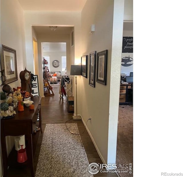 hallway with dark hardwood / wood-style floors