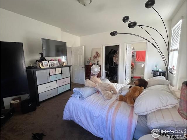 carpeted bedroom featuring a walk in closet and a closet