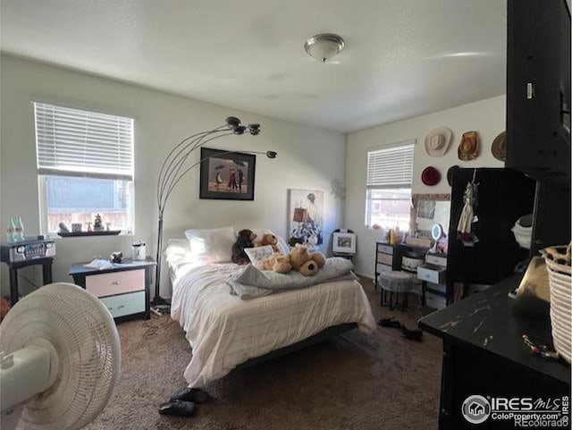 carpeted bedroom with multiple windows