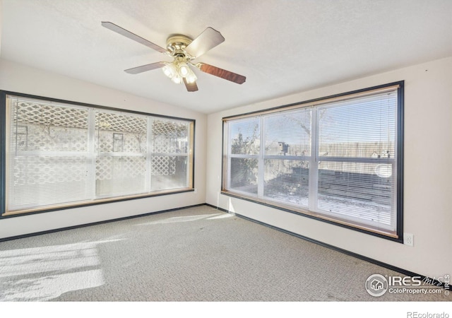 carpeted empty room featuring ceiling fan and a textured ceiling