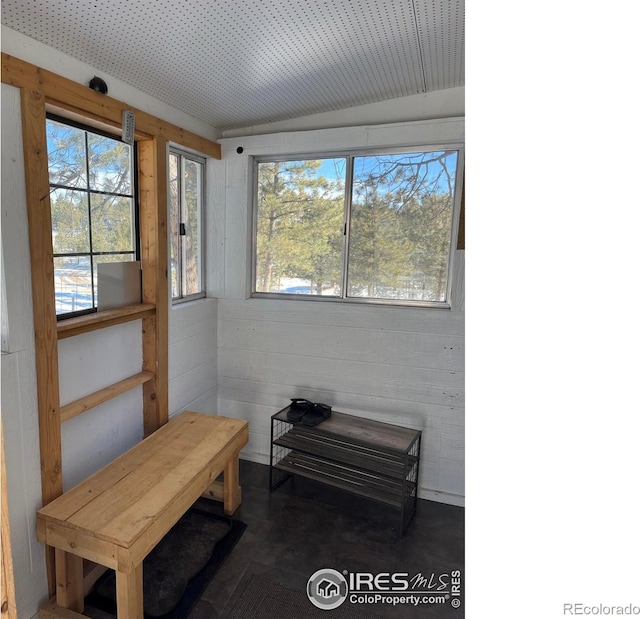 interior space with lofted ceiling