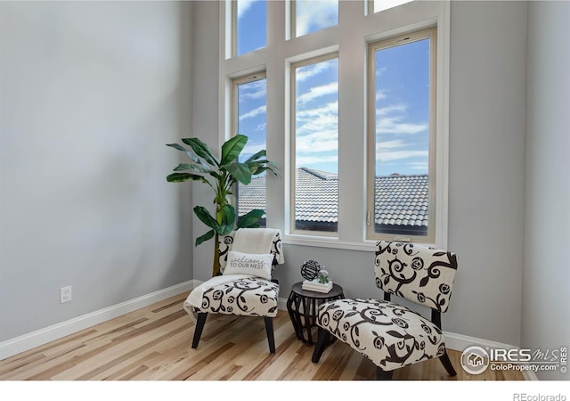 living area featuring light hardwood / wood-style flooring