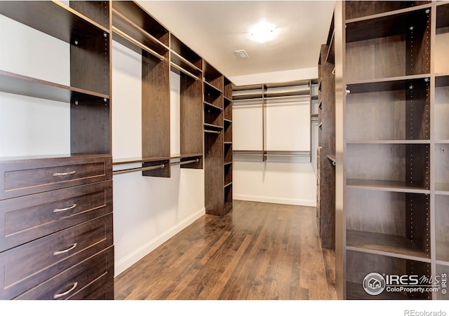 walk in closet featuring dark wood-type flooring