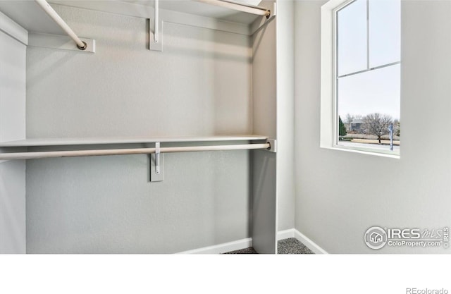 284 Scaup Ln, Johnstown, CO 80534 - photo 13