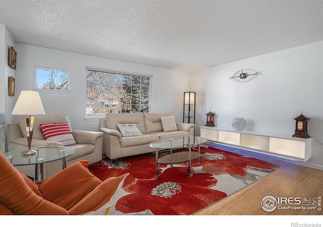 living room with hardwood / wood-style floors and a textured ceiling