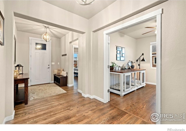 entryway featuring ceiling fan with notable chandelier and wood-type flooring