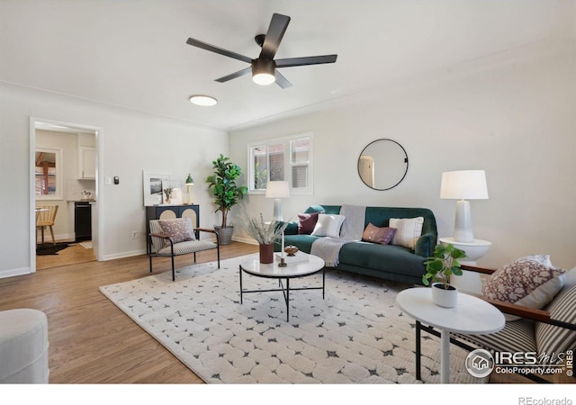 living room with ceiling fan and light wood-type flooring