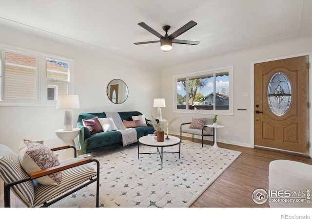 living room with ceiling fan and light wood-type flooring