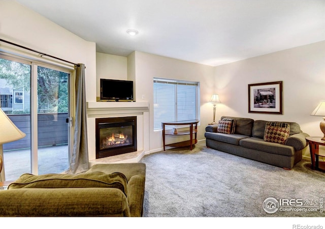 carpeted living room with a wealth of natural light