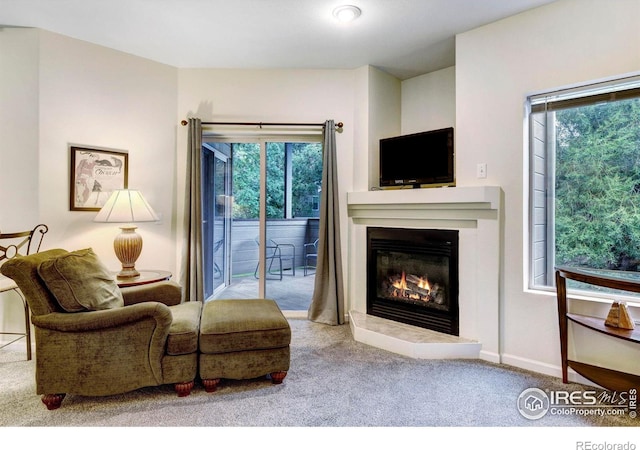 carpeted living room featuring a wealth of natural light