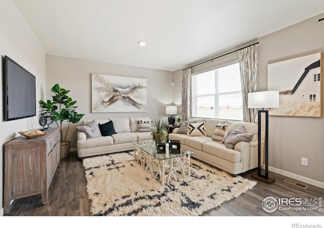 living room featuring dark wood-type flooring